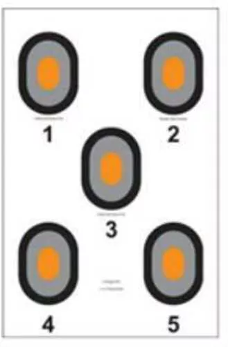 Action Target Inc 530-OC-100 Bulls Eye Orange Center Paper 23" X 35" Bullseye Black/Gray/Orange 100