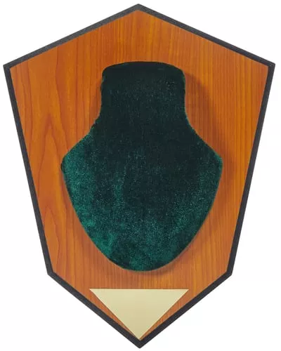 ALLEN DEER ANTLER MOUNT GREEN