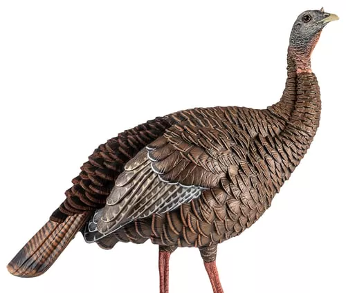 AVIAN-X HDR HEN TKY DECOY