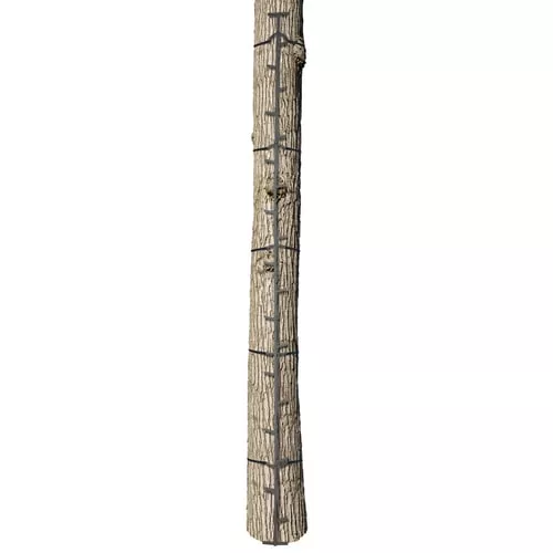 Big Game The Quick-Stick Climbing Stick20 ft.