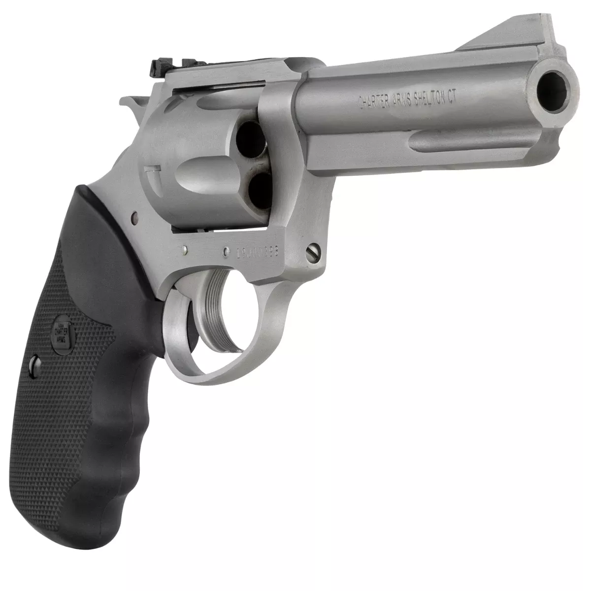 Charter Arms Pitbull Large 9mm Luger Revolver with 4.20" Matte Stainless Steel Barrel - 79942