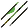 Gold Tip Hunter XT 400 Carbon Arrows 2" Raptor Vanes 6-Pack
