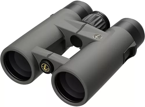Leupold 184761 BX-4 Pro Guide HD Gen2 10x42mm Roof Prism Black Armor Coated