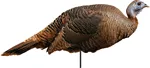 MONTANA DECOY TKY SPRING FLING HEN 2D