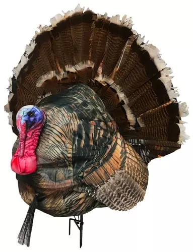 Montana Decoy Wiley Tom 3D Turkey Decoy