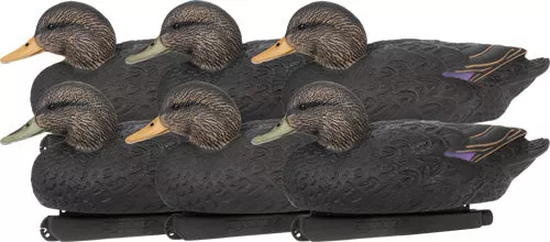 ZINK Black Duck Floater Decoys 6-Pack Life-Size Synthetic