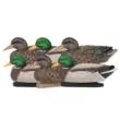 Zink Floater Mallard Decoy 6-Pack - 3 Drakes / 3 Hens - Life Size Synthetic